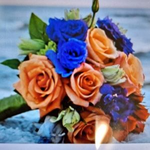 Meet your Posher, Regina